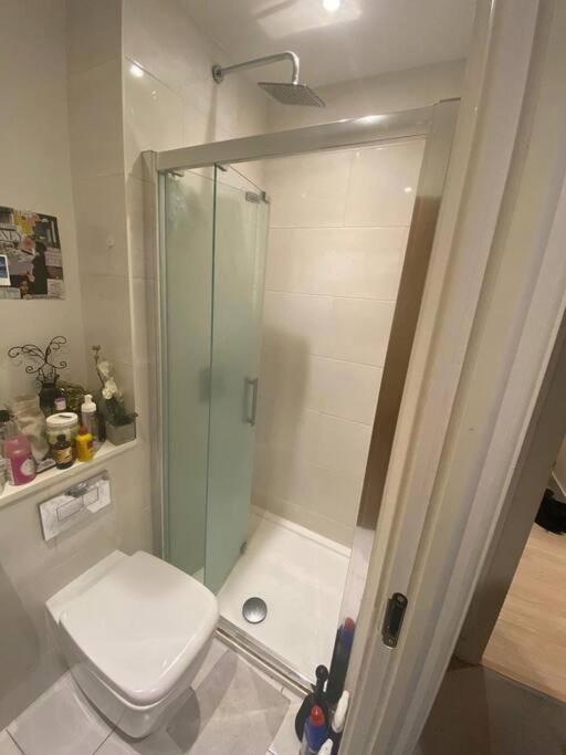 Luxury 2 Bed Ensuite 2 Bathroom Apartment East Croydon South Norwood 外观 照片